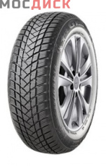 GT RADIAL WinterPro 2 205/55 R17 95H XL GT RADIAL WinterPro 2 205/55 R17 95H XL